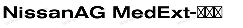 NissanAG MedExt字体转换